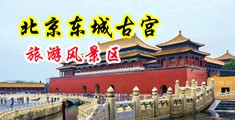 黑丝楼内爆操射水中国北京-东城古宫旅游风景区